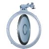 VF-8 Series Triple Offset Butterfly Valve | Control Valves